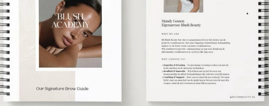 Master hybrid brows with blush beauty’s new e-book