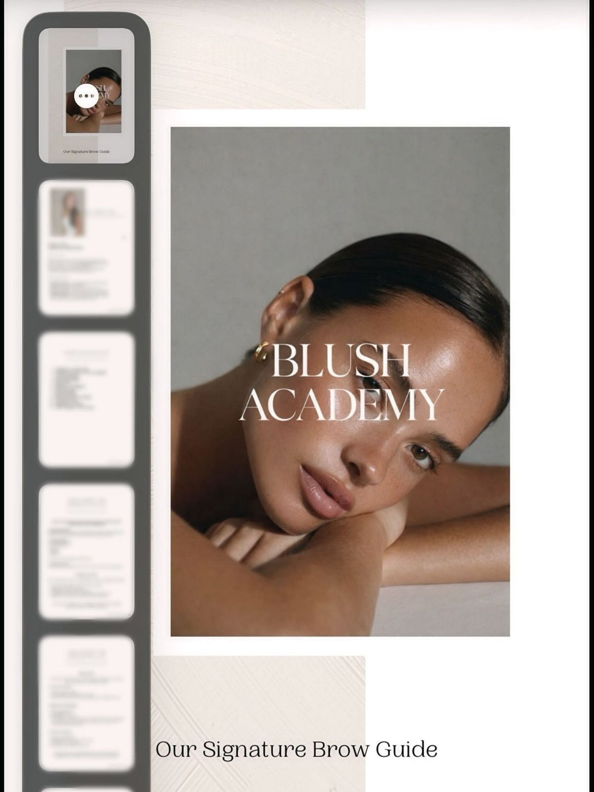 Signature Hybrid Brows E-Book | Blush Beauty Academy